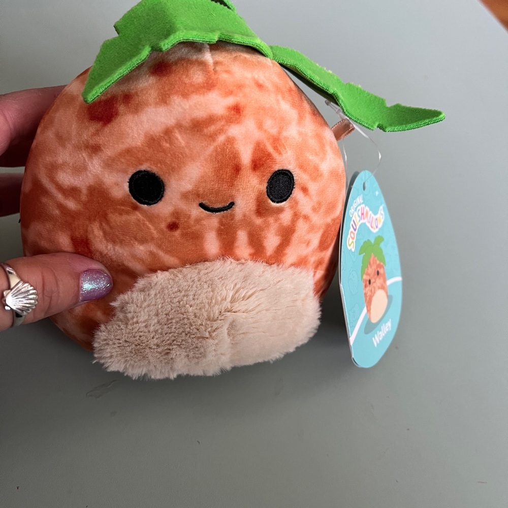 Squishmallow 5” mystery squad